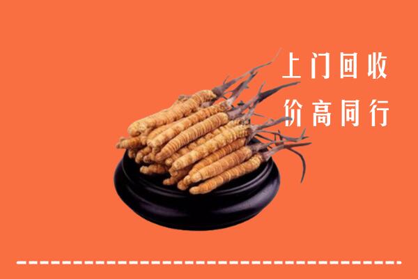 高价求购：吉林市舒兰市回收散虫草